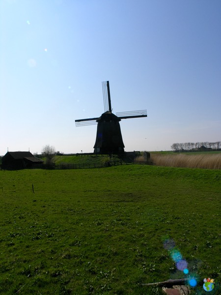 Molen foto's - Windmill pictures