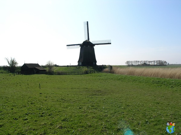 Molen foto's - Windmill pictures