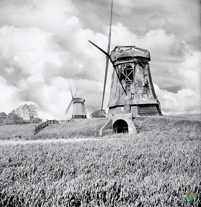 1.Schermer Molens - Noorderring - Ondermolen K  02 - Zwart Wit