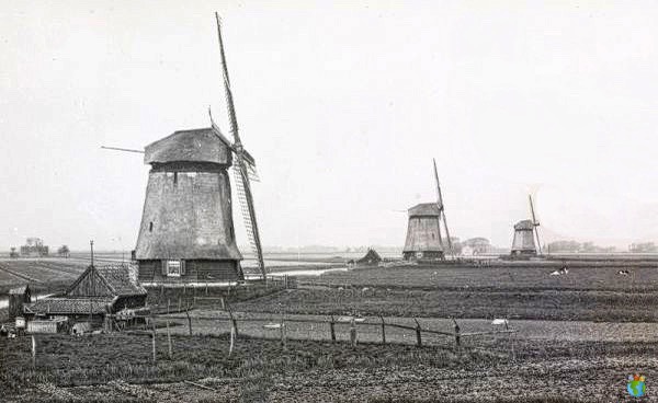 Molens Schermer Polder