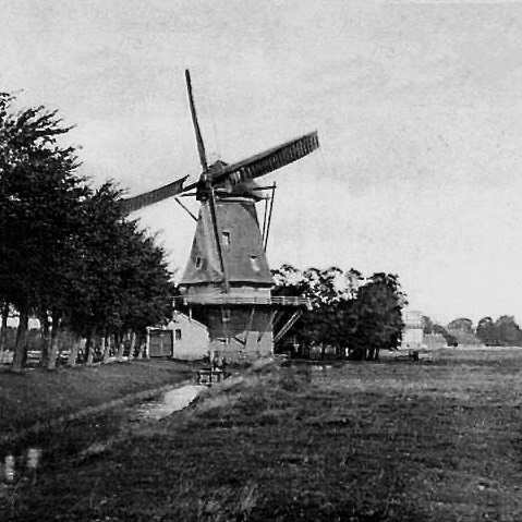3hzn.nl - Molen De Reiger 2