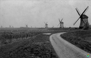Molens Schermer Polder