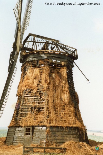 Molen foto's - Windmill pictures