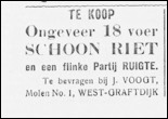 Schoon Riet
